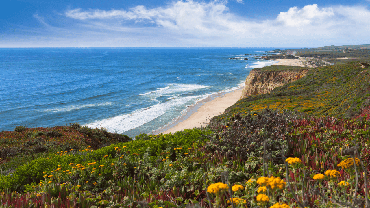 Kalifornien – Wo Träume wahr werden: Küstenzauber und Hollywood-Glamour